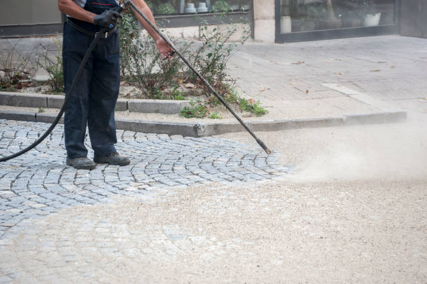Best Sign and Awning Cleaning  in Bloomingdale, FL