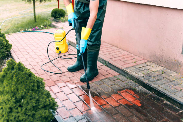 Animal Enclosure Cleaning in Bloomingdale, FL